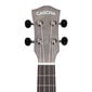 Kontsert ukulele Cascha CUC101 цена и информация | Kitarrid | hansapost.ee