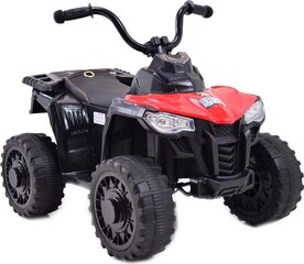 Ühekohaline elektriline ATV lastele Super-Toys hind ja info | Laste elektriautod | hansapost.ee