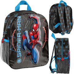 Laste seljakott Paso Spiderman price and information | School bags and backpacks | hansapost.ee