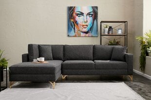 Kampinė sofa Berlin Left - Anthracite, Gold цена и информация | Угловые диваны | hansapost.ee