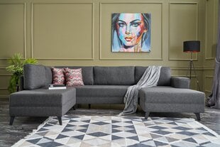 Kampinė sofa-lova Efsun - Anthracite цена и информация | Угловые диваны | hansapost.ee