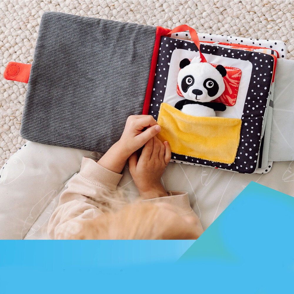 Sensoorne raamat Panda Canpol Babies цена и информация | Beebide mänguasjad | hansapost.ee