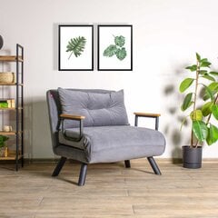 1 sėdynės sofa-lova Sando Single - Grey цена и информация | Кресла | hansapost.ee