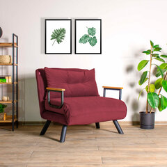 1 sėdynės sofa-lova Sando Single - Maroon цена и информация | Кресла для отдыха | hansapost.ee