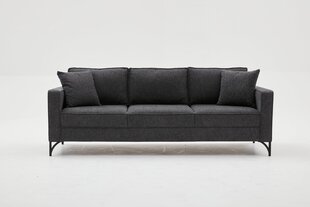 Kolmekohaline diivan Atelier Del Sofa Berlin, hall hind ja info | Diivanvoodid ja diivanid | hansapost.ee