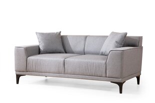 2 vietų sofa Petra 2 - Light Grey цена и информация | Диваны | hansapost.ee