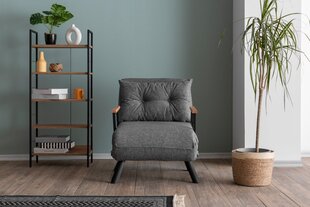 1 sėdynės sofa-lova Sando Single - Grey цена и информация | Кресла для отдыха | hansapost.ee