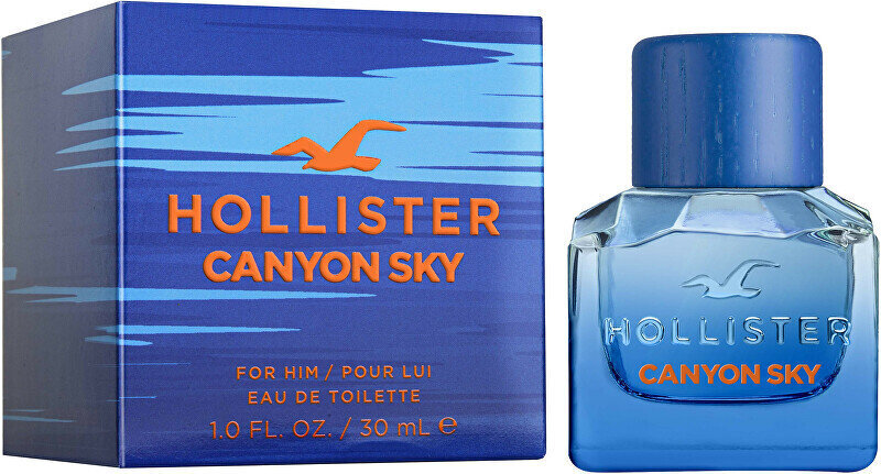 Tualettvesi Hollister Canyon Sky EDT meestele, 100 ml цена и информация | Parfüümid meestele | hansapost.ee