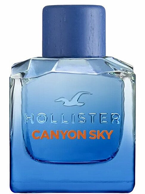 Tualettvesi Hollister Canyon Sky EDT meestele, 100 ml hind ja info | Parfüümid meestele | hansapost.ee