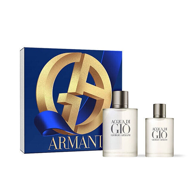 Komplekt Giorgio Armani Acqua Di Gio Pour Homme meestele: tualettvesi EDT, 100 ml + tualettvesi EDT, 30 ml hind ja info | Parfüümid meestele | hansapost.ee