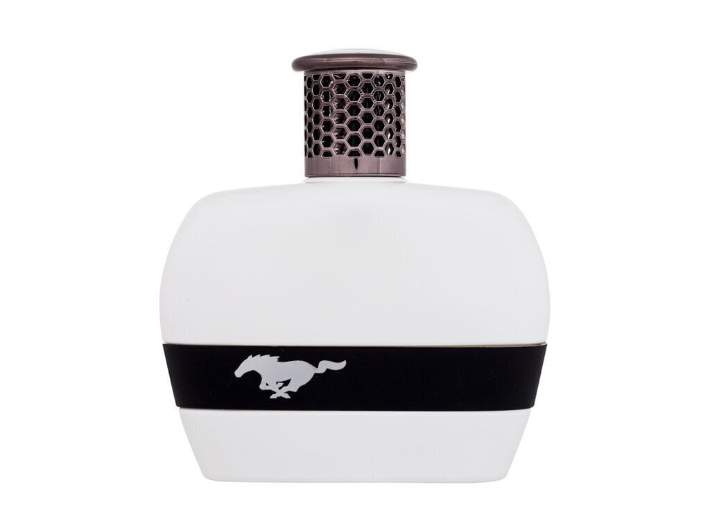 Tualettvesi Ford Mustang White EDT meestele, 100 ml цена и информация | Parfüümid meestele | hansapost.ee