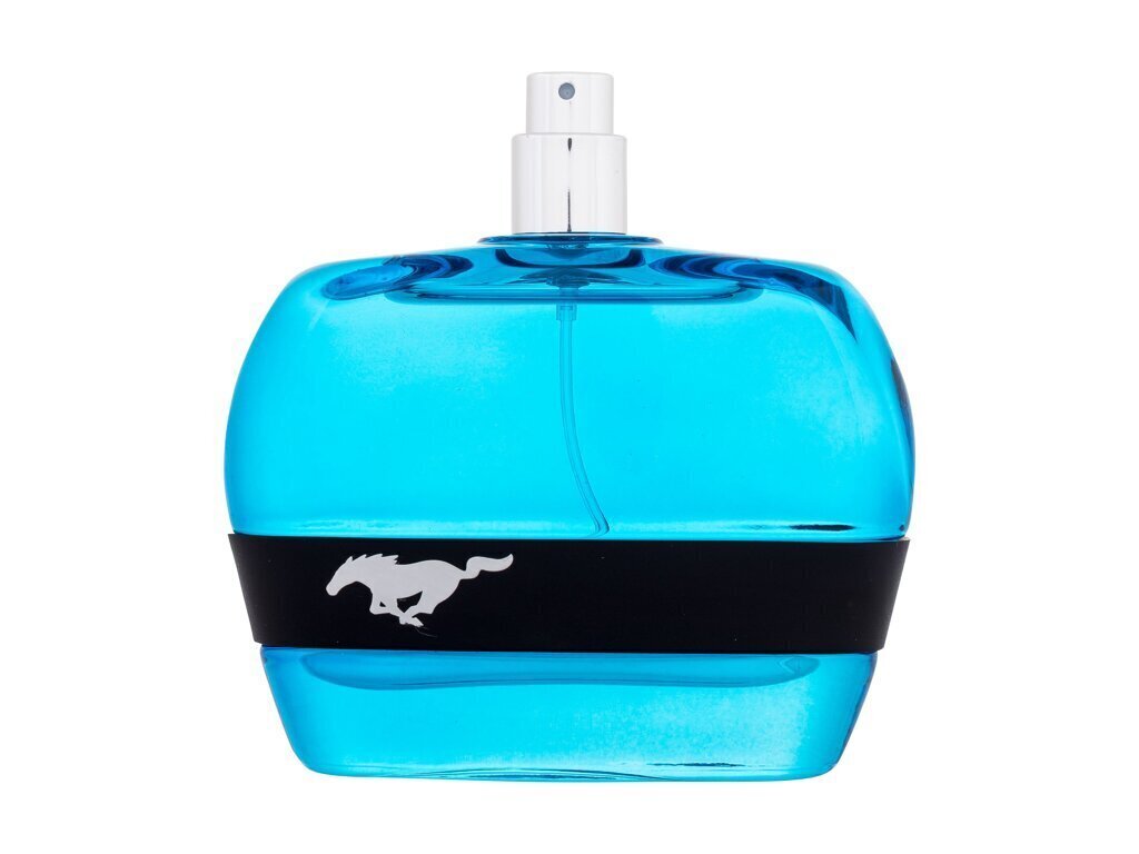 Tualettvesi Ford Mustang Mustang Blue EDT meestele, 100 ml цена и информация | Parfüümid meestele | hansapost.ee