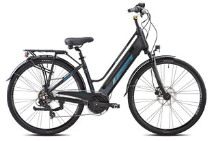 Электрический велосипед Esperia, 28", серый цена и информация | Esperia Спорт, досуг, туризм | hansapost.ee