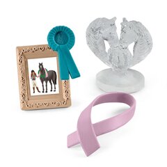 Mänguasjatarvikud Schleich Horse Club Accessories Tournament, 4 tk. цена и информация | Игрушки для девочек | hansapost.ee