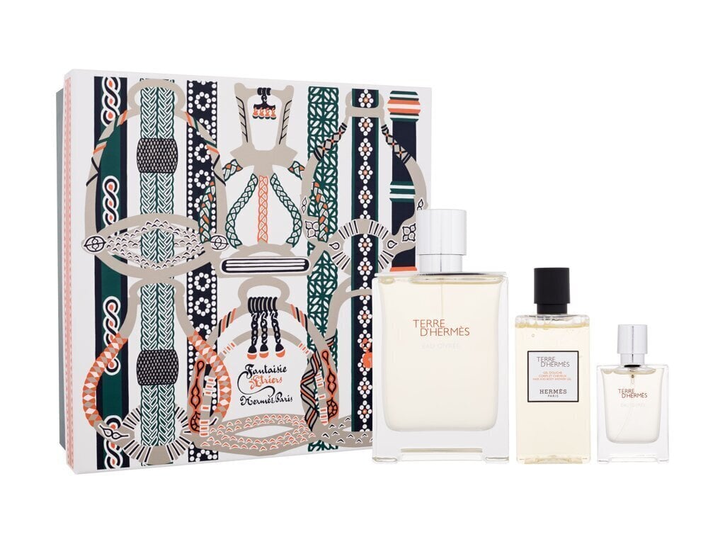 Komplekt Hermes Terre d´Hermes meestele: tualettvesi EDT, 100 ml + tualettvesi EDT, 12,5 ml + habemeajamisjärgne losjoon, 40 ml hind ja info | Parfüümid meestele | hansapost.ee