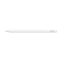 Apple Pencil Pro MX2D3ZM/A цена и информация | Аксессуары для планшетов, электронных книг | hansapost.ee