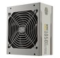 Cooler Master MWE Gold 1050 (MPE-A501-AFCAG-3G-EU) цена и информация | Toiteplokid | hansapost.ee