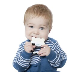 Охлаждающий прорезыватель Kidsme Icy Moo цена и информация | Игрушки для малышей | hansapost.ee