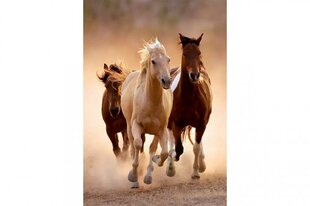 Pusle hobustega Clementoni, 39771, 1000 tk hind ja info | Pusled lastele ja täiskasvanutele | hansapost.ee