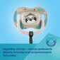 Sümmeetriline silikoonist lutt Canpol Babies Exotic Panda 34/920_pand, 0-6m hind ja info |  Lutid | hansapost.ee