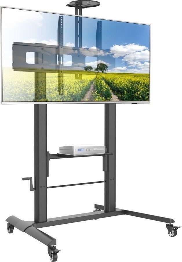 Techly ICA-TR230 52"-110" price and information | Teleri seinakinnitused ja hoidjad | hansapost.ee