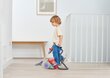 Dyson DC22 Tolmuimeja hind ja info | Mänguasjad tüdrukutele | hansapost.ee