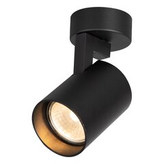 светильник для внутреннего освещения, черный цена и информация | Потолочные светильники | hansapost.ee