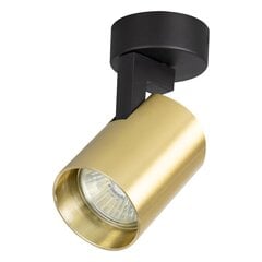 светильник для помещений, 230 в/50 гц цена и информация | Потолочные светильники | hansapost.ee