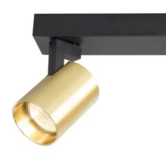 светильник volf spot gold - 2xgu10 цена и информация | Потолочные светильники | hansapost.ee