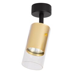 светильник для помещений, 230 в/50 гц цена и информация | Потолочные светильники | hansapost.ee