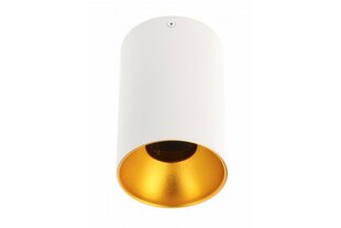 Светильник потолочный Tensa цена и информация | Потолочные светильники | hansapost.ee