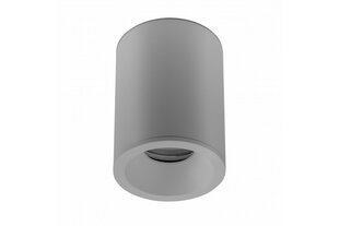 Корпус светильника потолочного Sensa Aqua, Ø85x115 мм, IP54, серый цена и информация | Потолочные светильники | hansapost.ee