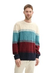 Tom Tailor meeste kampsun, kirju price and information | Sweaters for men | hansapost.ee