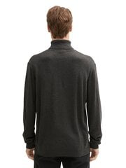 Tom Tailor meeste kampsun, hall price and information | Sweaters for men | hansapost.ee