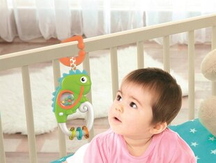 Clementoni Baby Chameleon kõristi price and information | Toys for babies | hansapost.ee