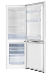 Hisense RB224D4BWE цена и информация | Hisense Холодильники и морозилки | hansapost.ee