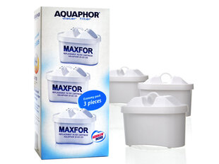 Aquaphor Maxfor B100-25 hind ja info | Veefilterkannud ja veefiltrid | hansapost.ee