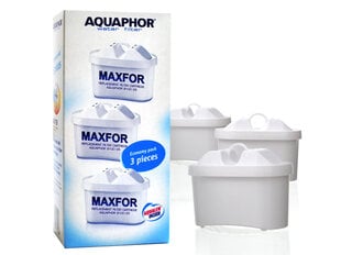 Aquaphor Maxfor B100-25 hind ja info | Veefilterkannud ja veefiltrid | hansapost.ee