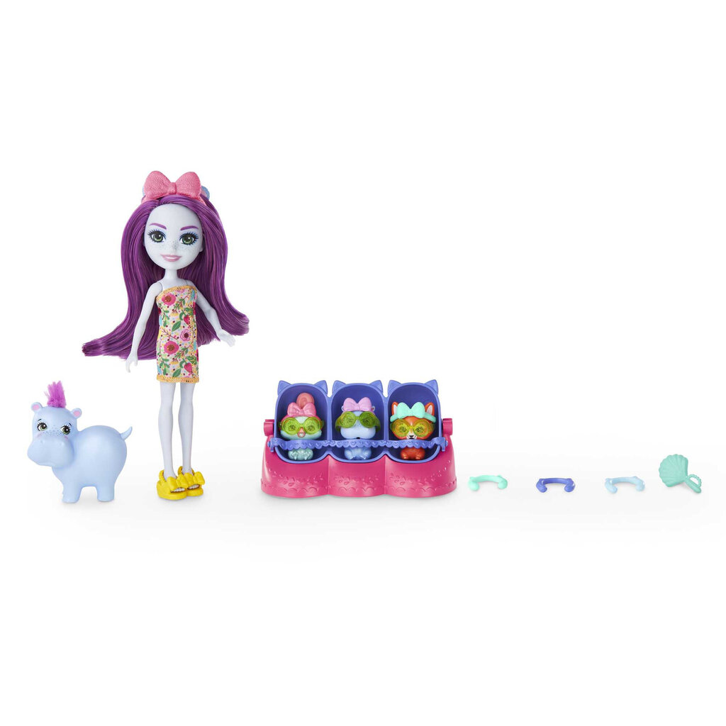 Surprise nukk koos sõbraga Enchantimals Baby Best Friends Mattel цена и информация | Mänguasjad tüdrukutele | hansapost.ee
