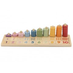 Деревянная сортировочная игра Viga Toys Polarb цена и информация | Развивающие игрушки для детей | hansapost.ee