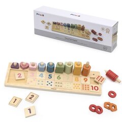 Деревянная сортировочная игра Viga Toys Polarb цена и информация | Развивающие игрушки для детей | hansapost.ee