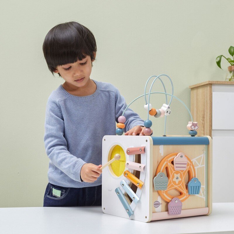 Hariv kuubik Viga PolarB 8in1 hind ja info | Arendavad laste mänguasjad | hansapost.ee