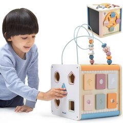 Развивающий кубик Viga PolarB 8в1 цена и информация | Развивающие игрушки для детей | hansapost.ee