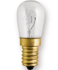 Лампа накаливания для холодильника GTV E14, 25 Вт, 230 В цена и информация | Электрические лампы | hansapost.ee