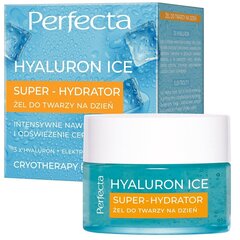 Дневной гель для лица Perfecta Hyaluron Ice Super-Hydrator Day Gel, 50 мл цена и информация | Кремы для лица | hansapost.ee