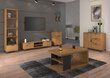 Kapp ADRK Furniture Lenea G013, pruun hind ja info | Elutoa kapid | hansapost.ee