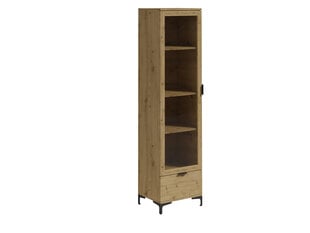 Шкафчик ADRK Furniture Lenea G013, коричневый цвет цена и информация | Шкафчики в гостиную | hansapost.ee