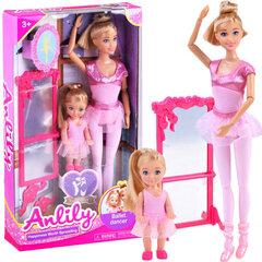 Nukk Barbie tarvikutega Anlily, roosa hind ja info | Mänguasjad tüdrukutele | hansapost.ee