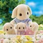 Kujukeste komplekt Sylvanian Families Flora Rabbit Family hind ja info | Mänguasjad tüdrukutele | hansapost.ee