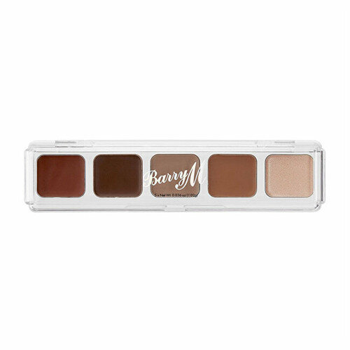 Lauvärvipalett Barry M Mini Palette The Nudes, 1,02 g цена и информация | Lauvärvid, ripsmetušid ja silmapliiatsid | hansapost.ee